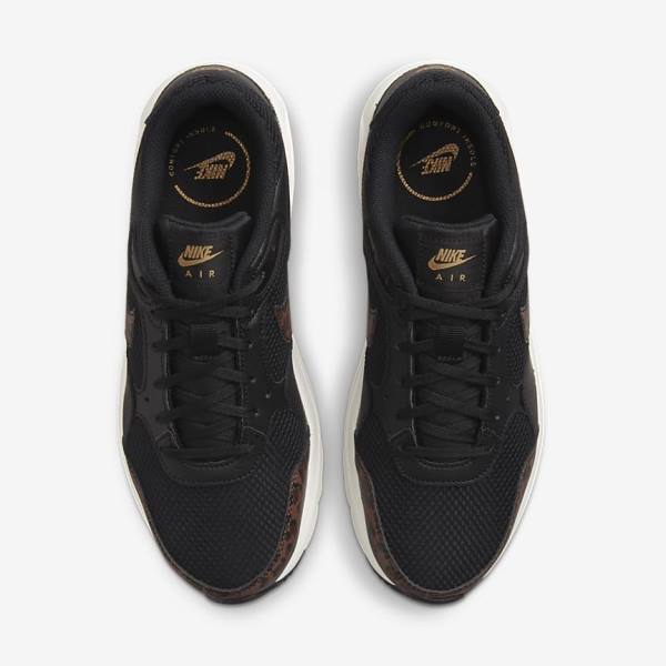 Black / Metal Gold / Brown Women's Nike Air Max SC Sneakers | NK657MJQ