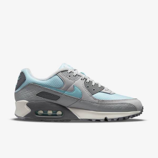 Grey / Platinum Men's Nike Air Max 90 Sneakers | NK375EPL