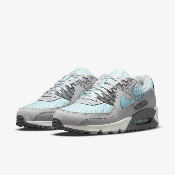 Grey / Platinum Men's Nike Air Max 90 Sneakers | NK375EPL