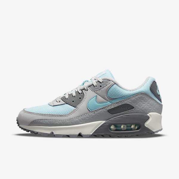 Grey / Platinum Men\'s Nike Air Max 90 Sneakers | NK375EPL