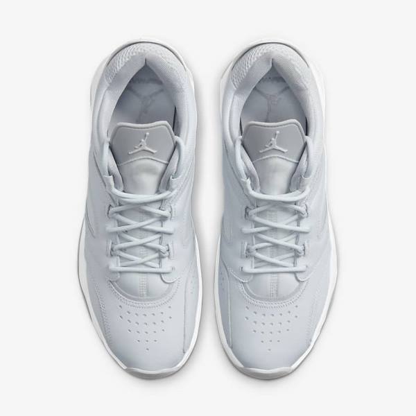 Platinum / White / Grey Men's Nike Jordan Point Lane Sneakers | NK960UEQ