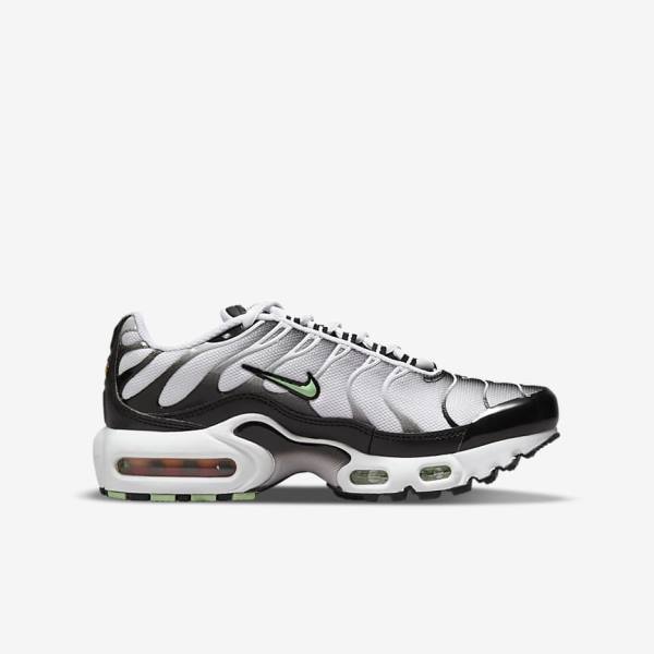 White / Black / Silver / Mint Kids' Nike Air Max Plus Older Sneakers | NK387VOG