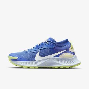 Blue / Brown / Grey Women's Nike Pegasus Trail 3 GORE-TEX Waterproof Trail Running Shoes | NK758NKS